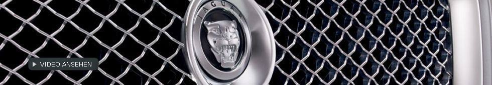 Jaguar Logo Video (Film ansehen)